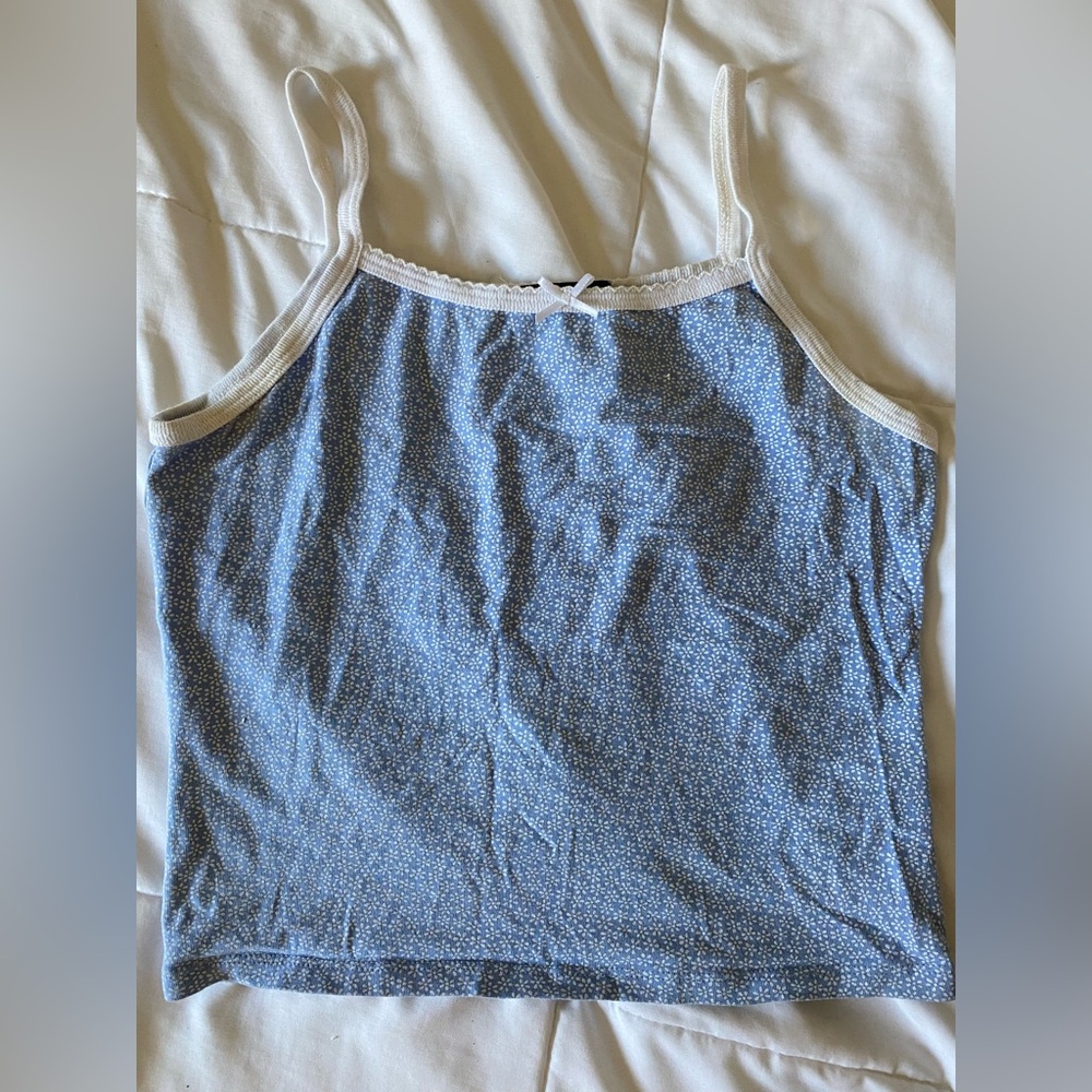 Brandy Melville Crop Top